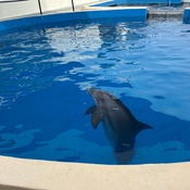 Photo submitted by KENNETH