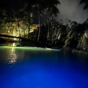 Photo submitted by Amy