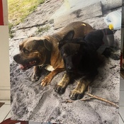 Photo submitted by Elvis