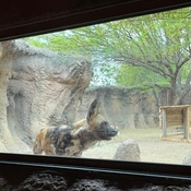 Photo submitted by Jaressia