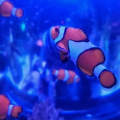 Photo submitted by Eli