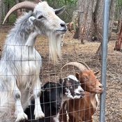 Photo submitted by pamela