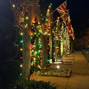 Photo submitted by Guest