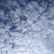 Photo submitted by Dedra