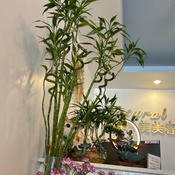 Photo submitted by Mariolis