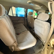 Photo submitted by Erika