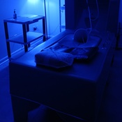 Photo submitted by Aaliyah