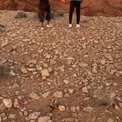 Photo submitted by Tracy