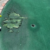 Photo submitted by Kristyn