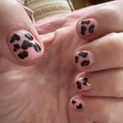 Photo submitted by Rose