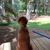 Photo submitted by Deborah