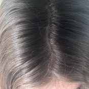 Photo submitted by Guest