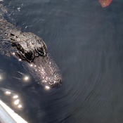 Photo submitted by Tani