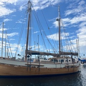 Photo submitted by Tylene