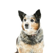 Photo submitted by Rebecca