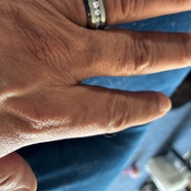 Photo submitted by dave