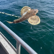 Photo submitted by Kiara