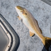 Photo submitted by Lorna