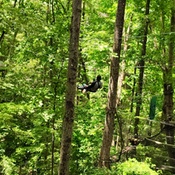 Photo submitted by Candis