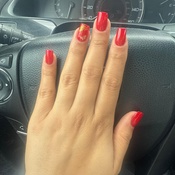 Photo submitted by Guest