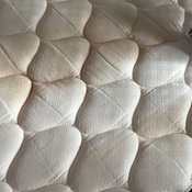 Photo submitted by Sarah