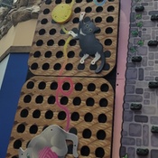 Photo submitted by Pam