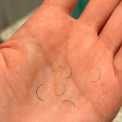 Photo submitted by Sam