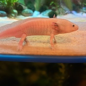 Photo submitted by Priscilla