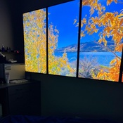 Photo submitted by lucy