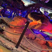 Photo submitted by Iris