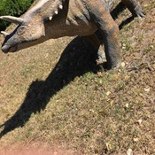 Photo submitted by David