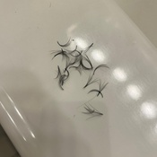 Photo submitted by Groupon