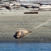 Photo submitted by Guest