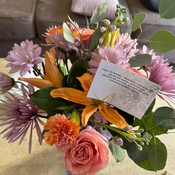 Photo submitted by Dianna