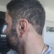 Photo submitted by Mehdi