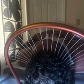 Photo submitted by Zindzi