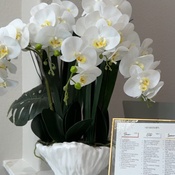 Photo submitted by Michie