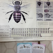 Photo submitted by Bridgitte