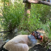 Photo submitted by Vera