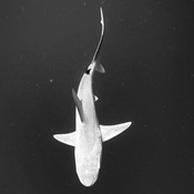 Photo submitted by Amy