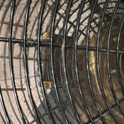 Photo submitted by Julianne