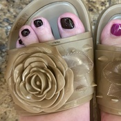 Photo submitted by Ann