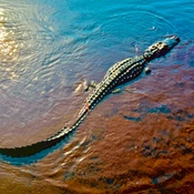 Photo submitted by rob