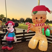 Photo submitted by Duane