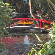 Photo submitted by Dana