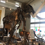 Photo submitted by Carlos