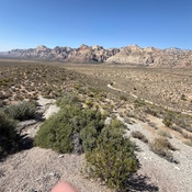 Photo submitted by Brandon