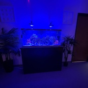 Photo submitted by Julia