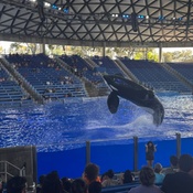 Photo submitted by Christine