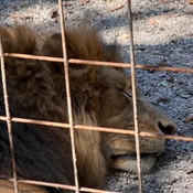 Photo submitted by Justin